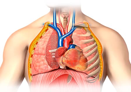Thoracoabdominal surgery